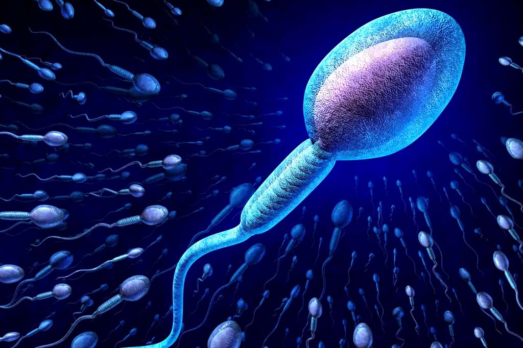 Sperms spin not swim – scientists modified 350 years old concept